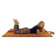 Rollable mattress for every occasion – Easy to use and store efficiently